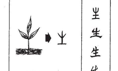 背部艾灸的好处与功效艾灸的禁忌-背部艾灸的好处与功效及禁忌、背部艾灸的好处与功效图片 -背部艾灸的好处与功效网